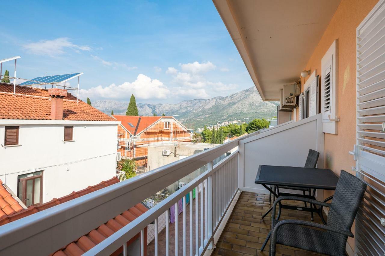 Guest house Voinic 2